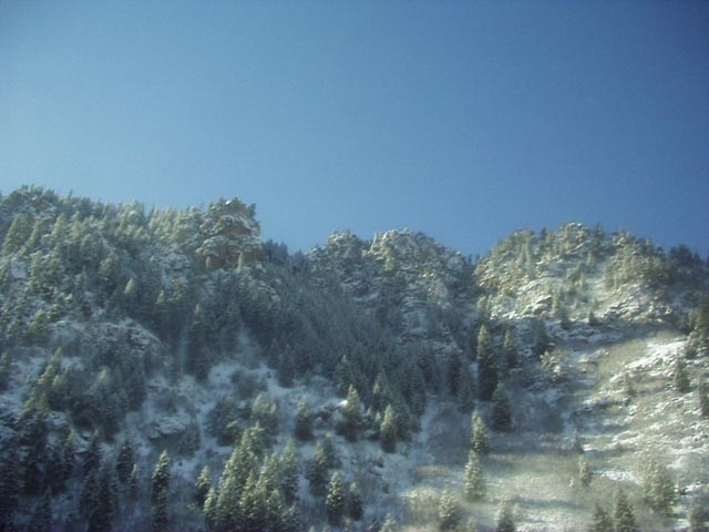 Click again for LARGE Picture