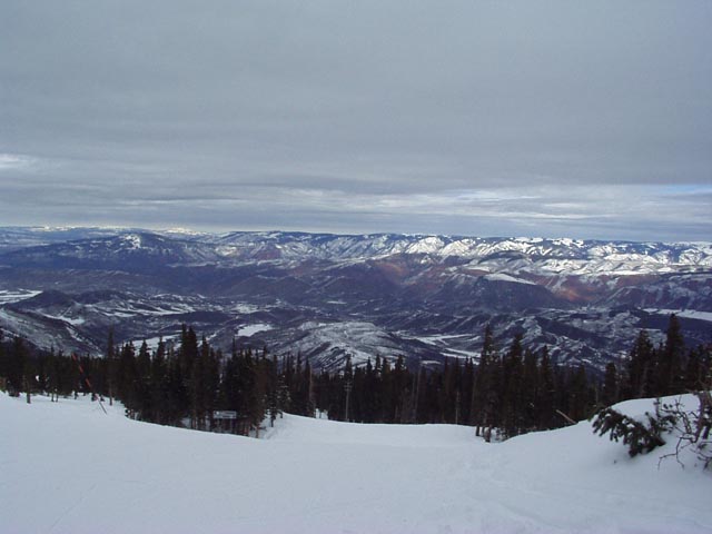 Click again for LARGE Picture