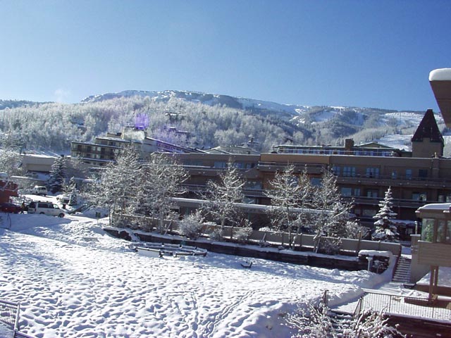 Click again for LARGE Picture