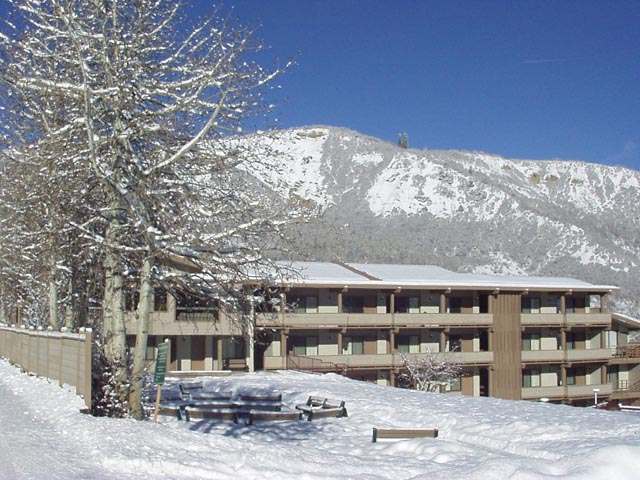 Click again for LARGE Picture