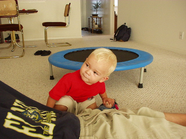 Click again for LARGE Picture