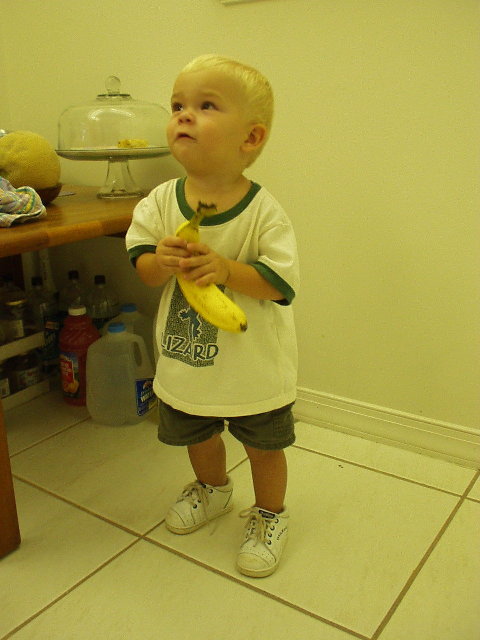 Click again for LARGE Picture