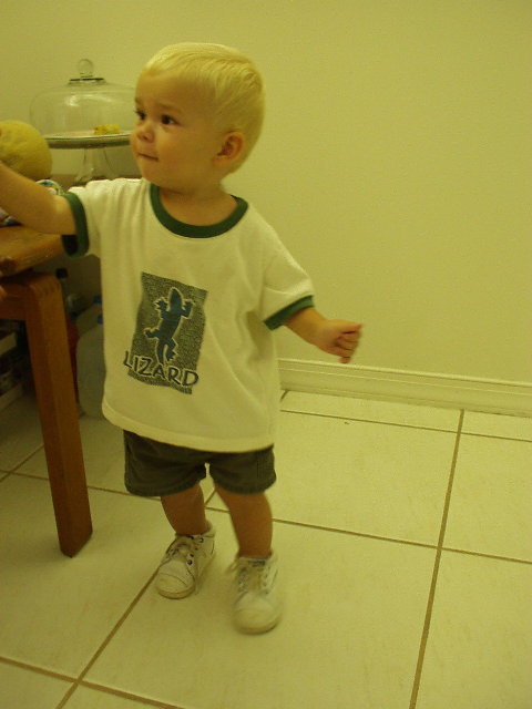 Click again for LARGE Picture