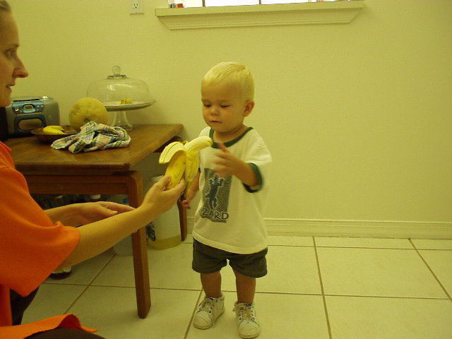 Click again for LARGE Picture